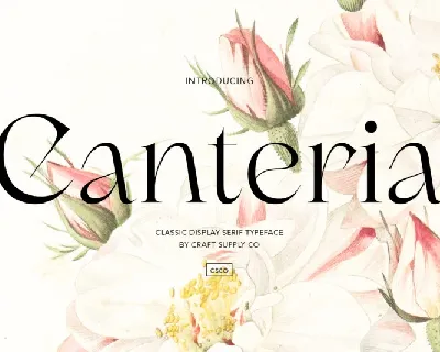 Canteria Serif font