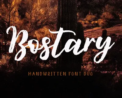 Bostary Brush font