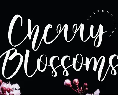 Cherry Blossoms font