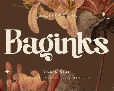 Baginks font