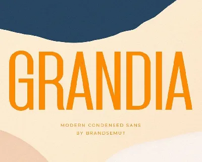 Grandia font