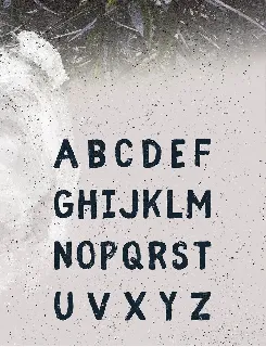 Fibre font