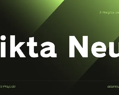 Dikta Neue font