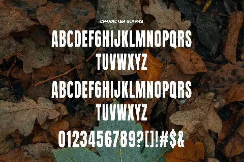 Queenista font