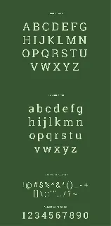 Robika Typeface font