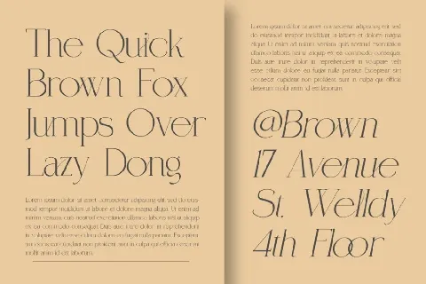 Coefficient DEMO font