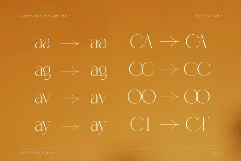 Coefficient DEMO font