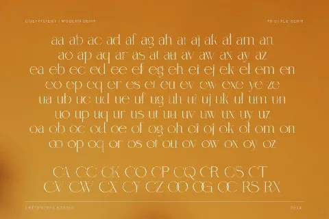 Coefficient DEMO font