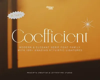 Coefficient DEMO font