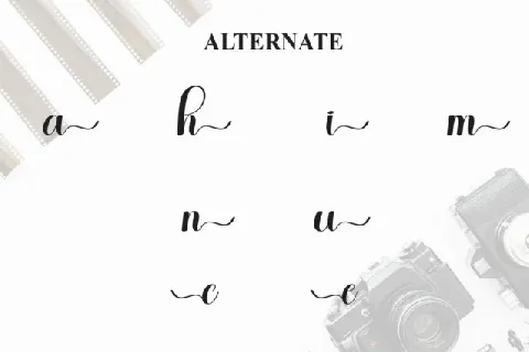 Camera Script font