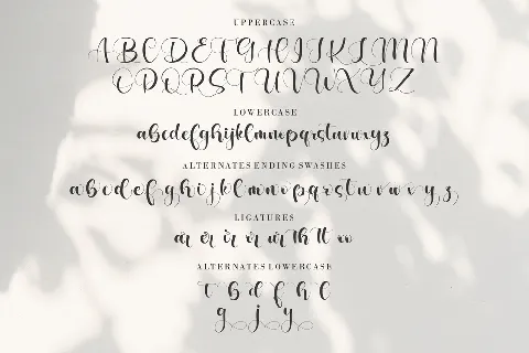 Fancylate font