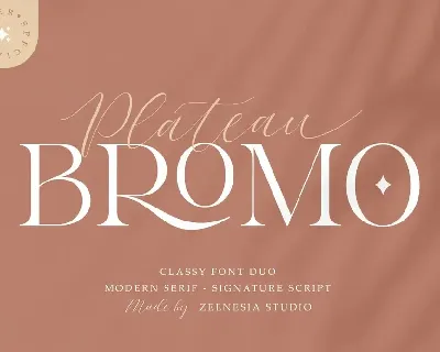 Bromo Plateau Duo font