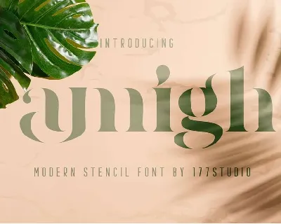 Amigh font