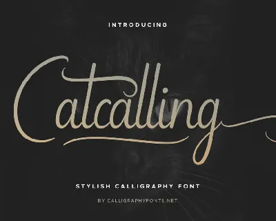 Catcalling Demo font