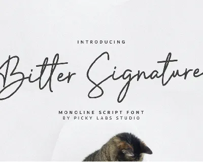 Bitter Signature font