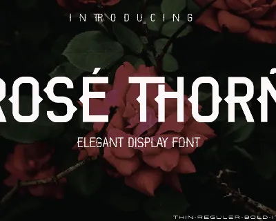 ROSE THORN font