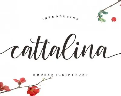 Cattalina Calligraphy font