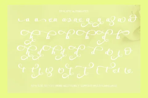 Gralise Script font
