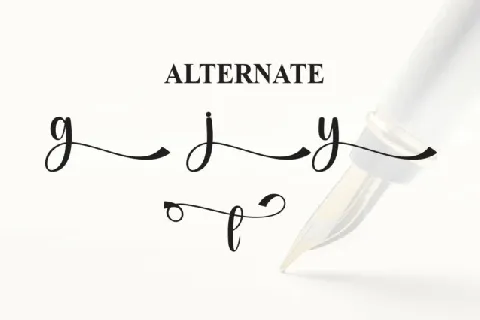 Signature Script Typeface font