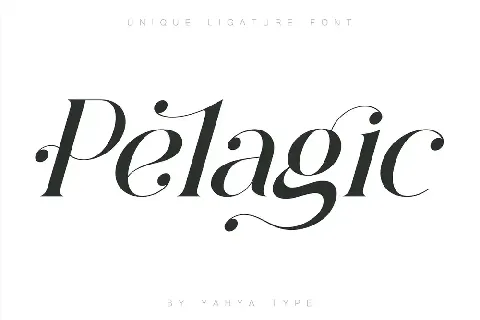 Pelagic Bird font