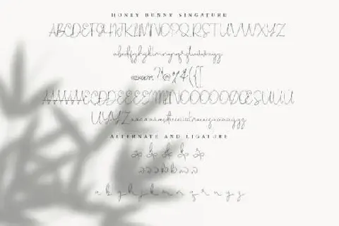 Honey Bunney Duo font