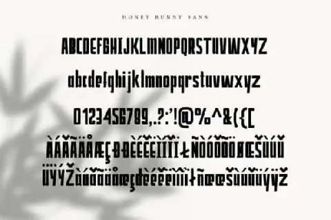 Honey Bunney Duo font