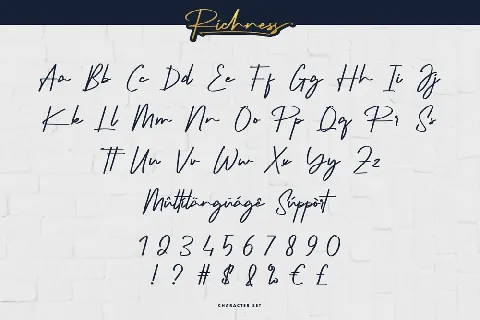 Richness Demo font