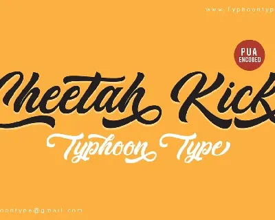 Cheetah Kick Script font