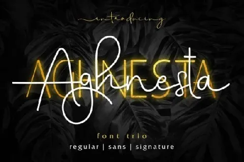 Aghnesta font