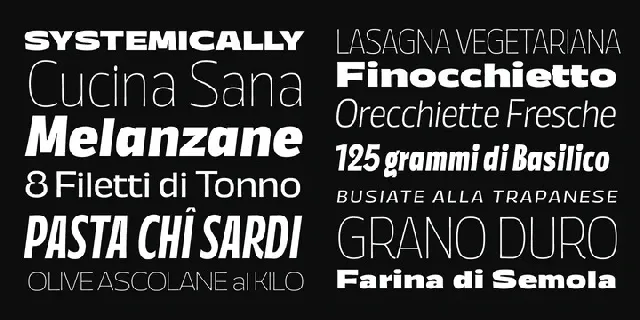 Annuario Family font