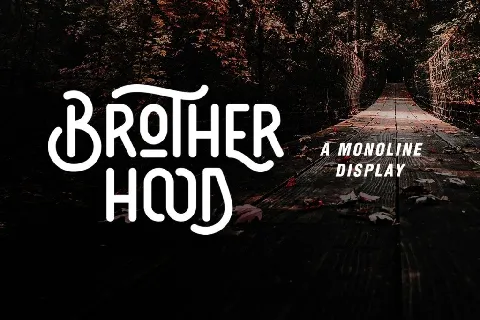 DS Brotherhood DEMO font