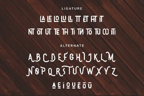 DS Brotherhood DEMO font