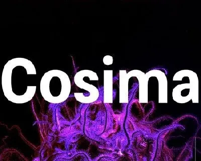 Cosima Sans Family font