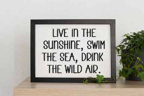 Vacation Display font