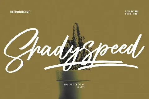 Shadyspeed font