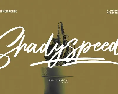 Shadyspeed font