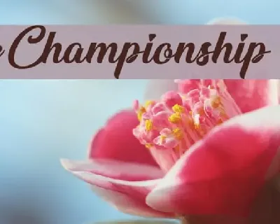 Championship Script font