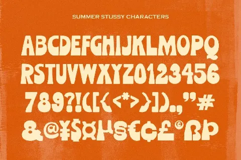 Summer Stussy DEMO font