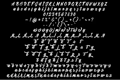 Dartybe Script font