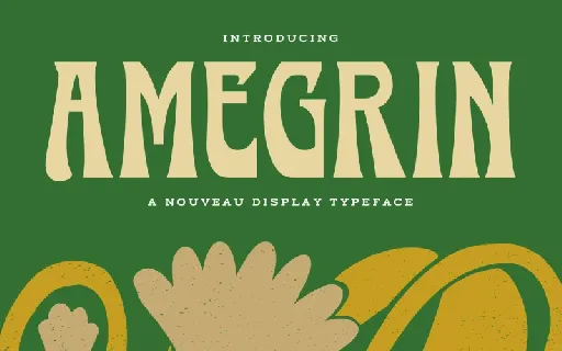 Amegrin font