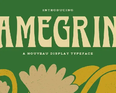 Amegrin font