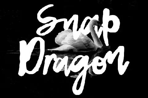 Snap Dragon Script Free font