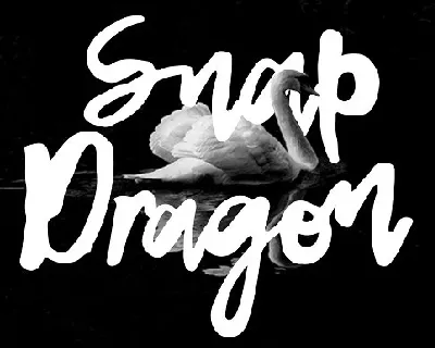 Snap Dragon Script Free font