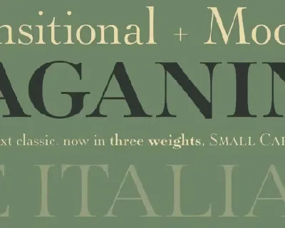Paganini Family font