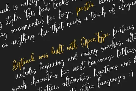 Bqtrack Calligraphy Script font