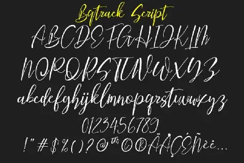 Bqtrack Calligraphy Script font