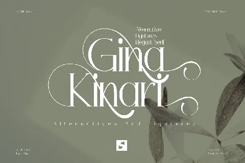 Gina Kinari font