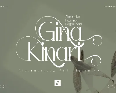 Gina Kinari font