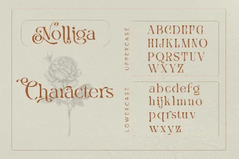 Nolliga font