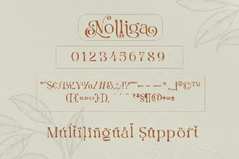 Nolliga font